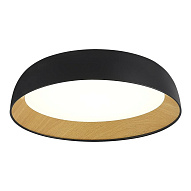 SLE1812-402-01 Светильник потолочный Черный, Древесный/белая LED 1*36W 4000K МЬЮЗЕ 500_191_2944706